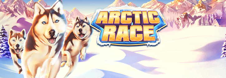 arctic race slot novomatic