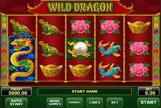wild dragon slot screen