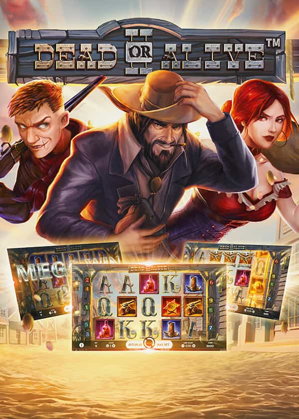 dead or alive 2 slot preview