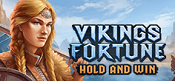 vikings fortune slot logo