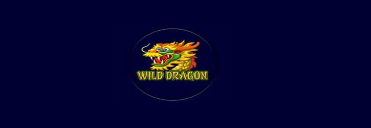 wild dragon slot amatic