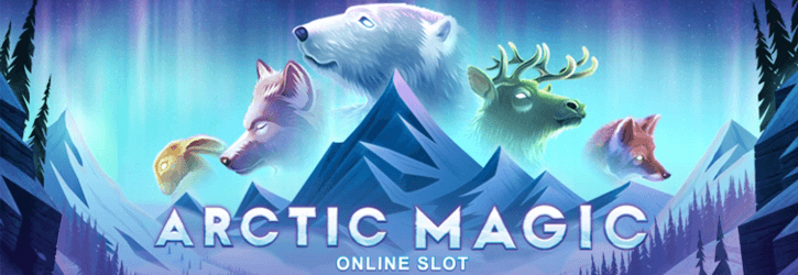 arctic magic slot microgaming