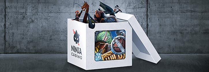 ninja kasiino jaanuari missionid kampaania