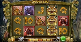 coywolf cash slot screen small