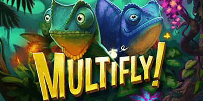 multifly slot new