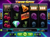 twin spin slot screen small