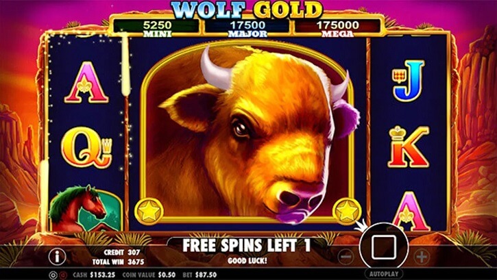 wolf gold slot bonus freespins