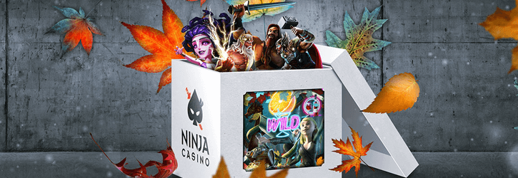 ninja kasiino novembrikuu valjakutsed kampaania